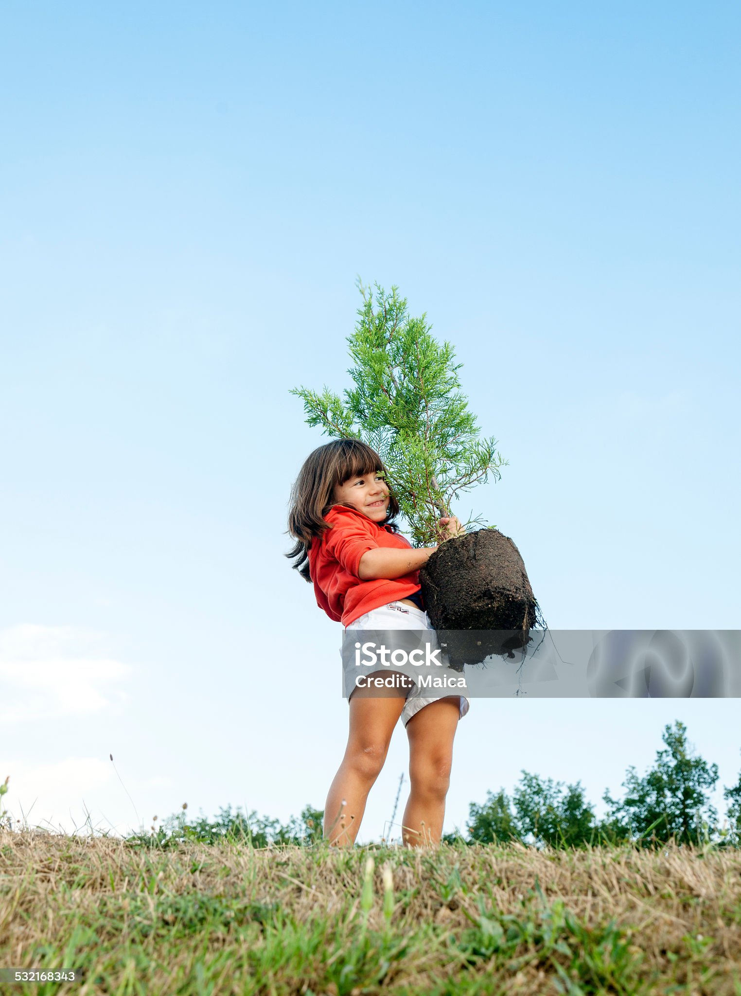 Niño plantando un árbol